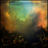 Joanna Newsom - Divers (Vinyl LP)