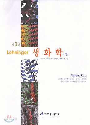 Lehninger 생화학 (하)