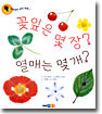 꽃잎은 몇 장? 열매는 몇 개?