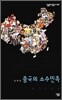 중국의 소수민족