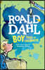 Boy: Tales of Childhood