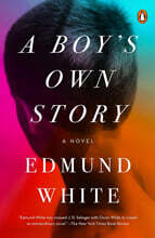 A Boy's Own Story