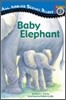 Baby Elephant