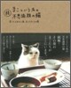 續 まこという名の不思議顔の猫