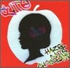 Hazel Nuts Chocolate - Cute