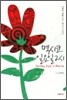 멕시코 일요일 2시