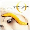 A Perfect Circle - Thirteenth Step