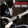 Chet Atkins - Guitar Legend Rca Years