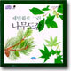 세밀화로 그린 나무도감