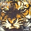 Survivor - Eye Of The Tiger