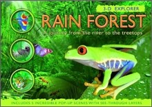 Rain Forest