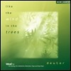 Deuter (도이터) - Like the Wind in the Trees (나무 사이로 부는 바람처럼)