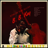 B.B. King - King Of The Blues (Remastered)(Limited Edition)(Collector's Edition)(180g Audiophile Vinyl LP)(Free MP3 Download)(LP 커버 보호용 비닐 증정)
