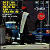 Gary Burton - New Vibe Man In Town (Remastered)(Limited Edition)(Collector's Edition)(180g Audiophile Vinyl LP)(Free MP3 Download)