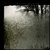 Bon Iver - For Emma, Forever Ago (Vinyl LP)(MP3 Voucher)