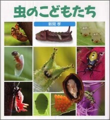 蟲のこどもたち
