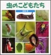 蟲のこどもたち