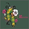 Myrra - Best