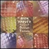 Mick Harvey (믹 하비) - 3집 Delirium Tremens [LP]