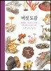 버섯 도감