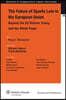 The Future of Sport in the European Union: Beyond the EU Reform Treaty and the White Paper