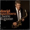 David Sanborn - Here & Gone