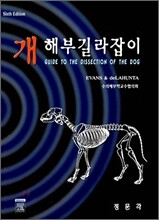 개 해부 길라잡이