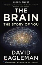 The Brain: The Story of You