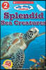 Splendid Sea Creatures