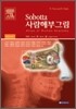 Sobotta 사람해부학