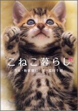 こねこ暮らし