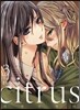 citrus 시트러스 3