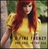 A Fine Frenzy (어 파인 프렌지) - 1집 One Cell In The Sea