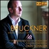 Gerd Schaller 브루크너: 미사 3번 (Bruckner: Mass No. 3, Psalm 146, Organ Works)