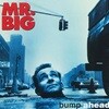 [중고] Mr. Big / Bump Ahead