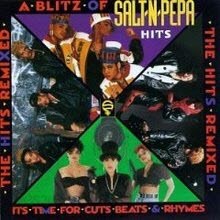 Salt-N-Pepa - A Blitz of Salt-N-Pepa Hits: The Hits Remixed (수입)