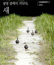 생명 곁에서 거닐다, 새