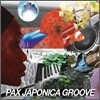 Pax Japonica Groove (팍스 자포니카 그루브) - Pax Japonica Groove
