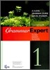 Grammar Expert 1