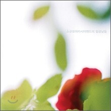 소규모 아카시아 밴드 - 일곱 날들