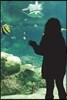 The Girl and the Fish Journal: 150 page lined notebook/diary