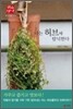 나는 허브에 탐닉한다