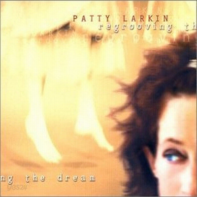 Patty Larkin - Regrooving The Dream