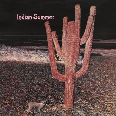 Indian Summer (인디안 서머) - Indian Summer