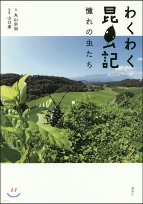 わくわく昆蟲記 憧れの蟲たち