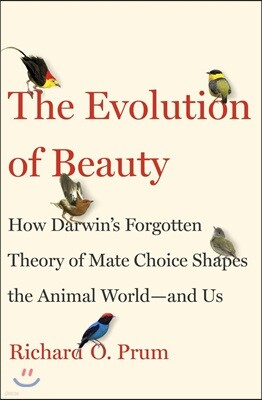 Evolution of Beauty