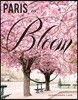 Paris in Bloom