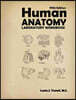 Human Anatomy