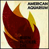 American Aquarium - Burn.Flicker.Die (LP)