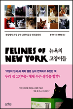 뉴욕의 고양이들